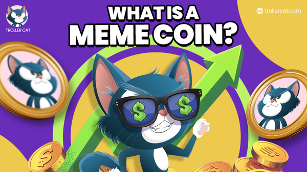 Troller Cat banner with big text that reads What Is A Meme Coin?